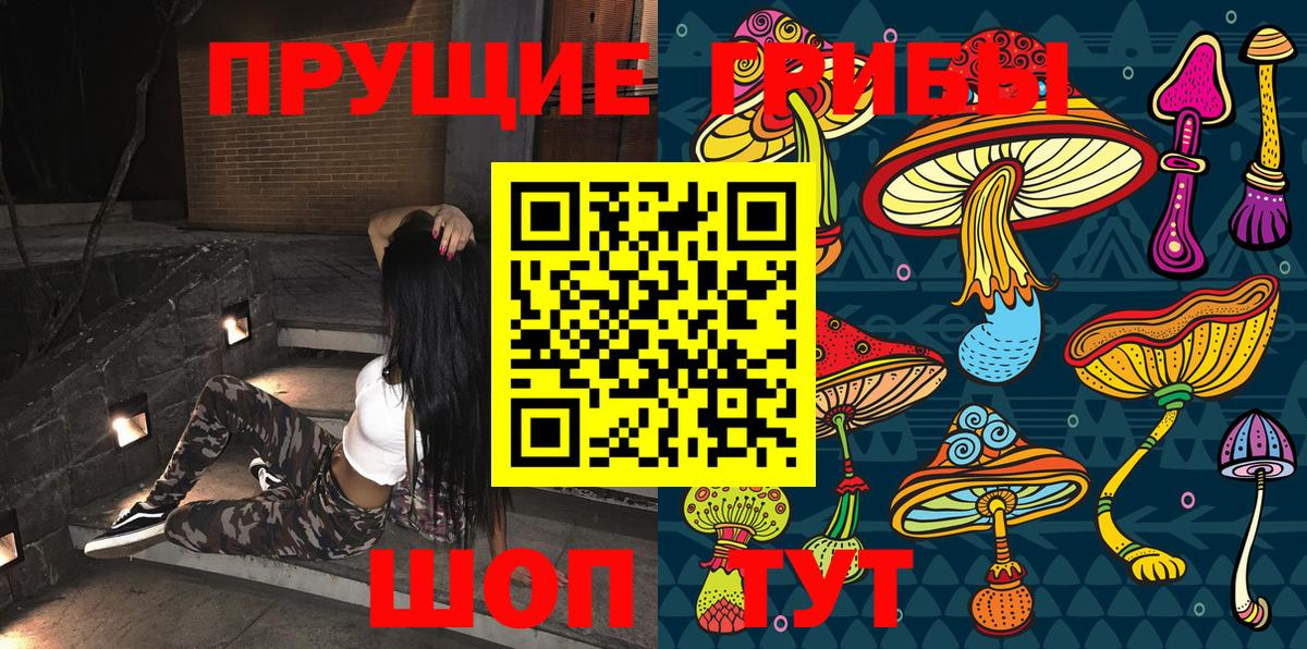 Псилоцибиновые грибы Cubensis Улан-Удэ