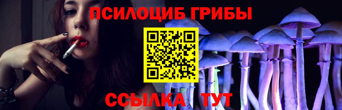 Галлюциногенные грибы мухоморы  Вход с VPN  Улан-Удэ  Галлюциногенные грибы GOLDEN TEACHER 